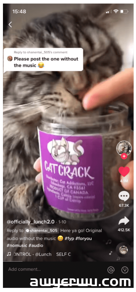 如何在 TikTok 上销售商品和产品 第6张