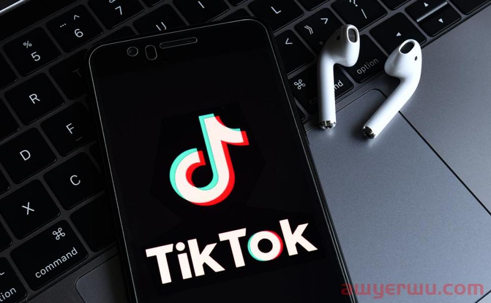 入局前要了解的 14 个 TikTok广告统计数据 第1张
