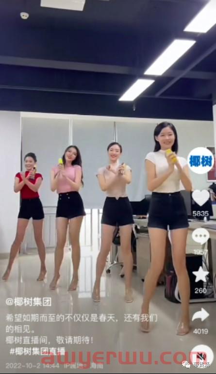 打美女擦边球，椰树直播带货想走“黑红”路线 第2张