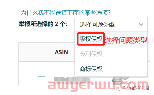 Amazon投诉版权侵权的步骤 第6张