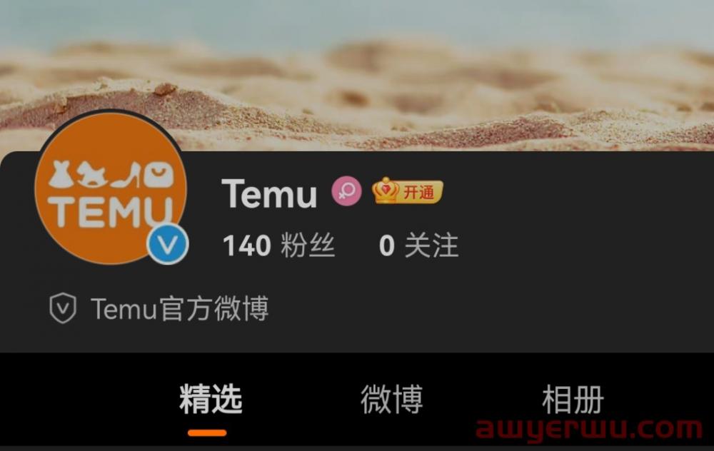 下载量冲进前五！Temu又有新动作 第1张