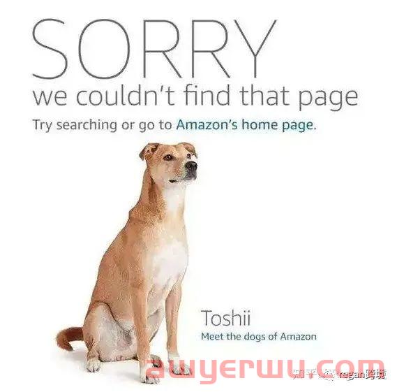 亚马逊listing里出现竞争对手品牌名，我们应该如何应对及规避侵权？ 第1张