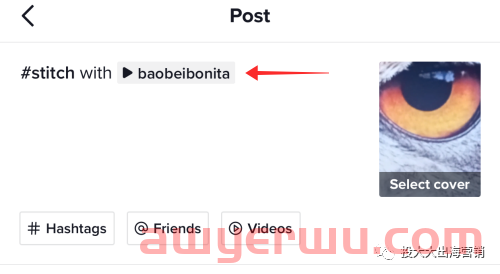 除了TikTok广告,你还可以用这一方法Stitch工具“正直”吸粉 第7张 除了TikTok广告,你还可以用这一方法Stitch工具“正直”吸粉 第7张