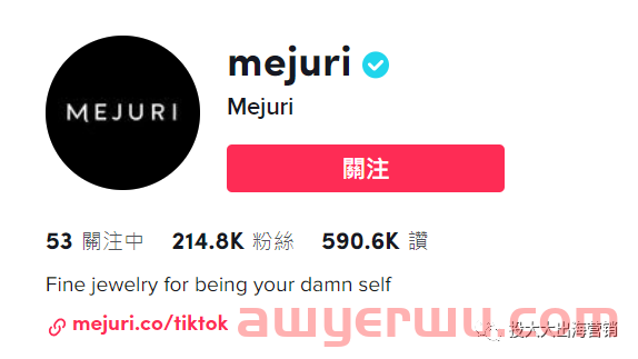 TikTok Stitch进阶，为广告投放追加Buff！ 第1张