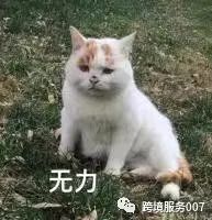 又变？亚马逊评论机制再次变动，关联更新三个申诉方向！ 第2张