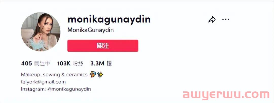 迪斯科装饰TikTok走红， “镜面砖”在亚马逊卖到脱销！ 第6张