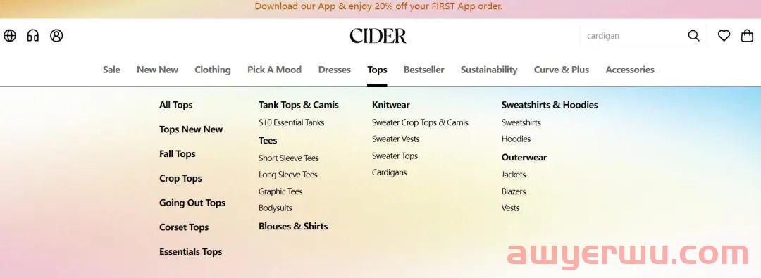 估值10亿美元,快时尚黑马Cider如何俘获Z世代女孩的芳心? 第9张 估值10亿美元,快时尚黑马Cider如何俘获Z世代女孩的芳心? 第9张