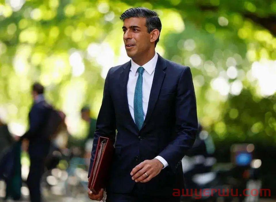 约翰逊无缘！英国史上第一位印度裔首相来了，他到底凭啥？ 第2张