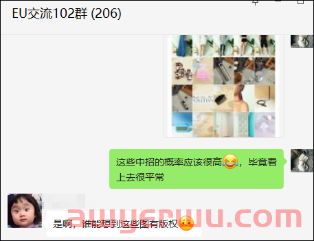 真假？亚马逊店铺竟然被ebay卖家“公用图”投诉侵权？事实让人意外 第5张