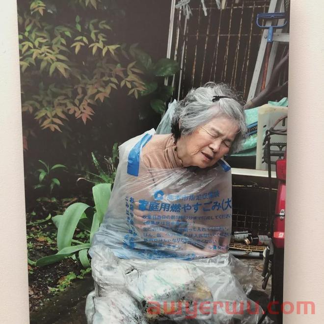 海外网红营销之你可能忽视的7种利基小众网红 第2张