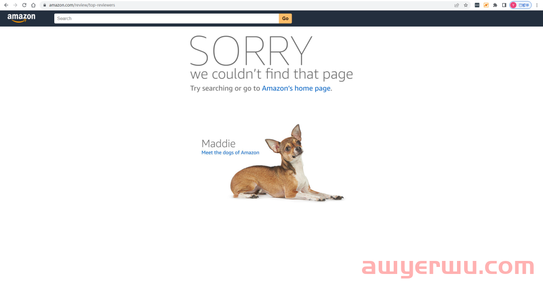 警告！亚马逊 TOP review 不再显示 标识了 第1张