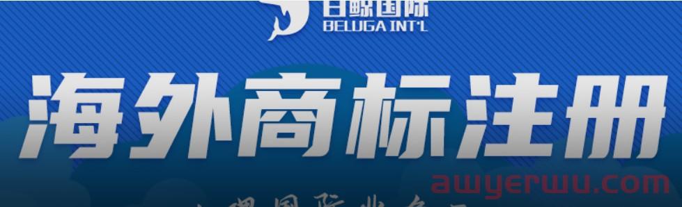 白鲸国际商标注册怎么样？ 第1张