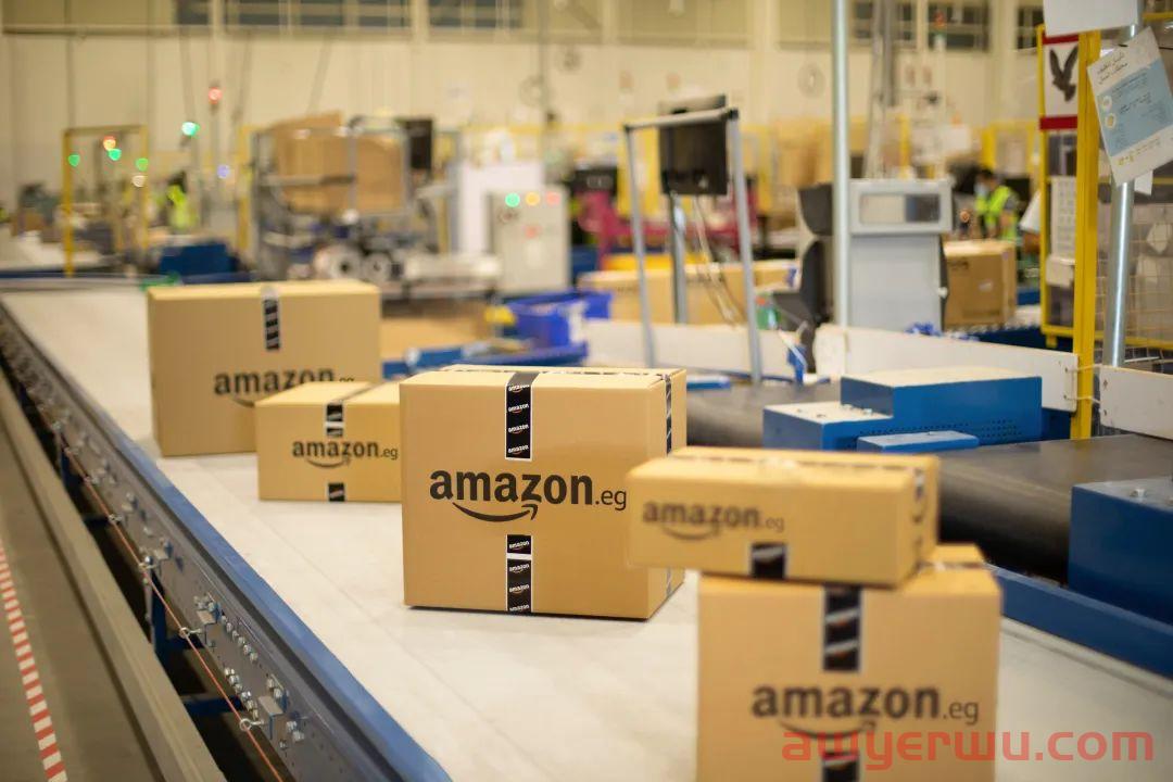 亚马逊在埃及大动作:新仓库、全球客服中心均落开罗 第1张 亚马逊在埃及大动作:新仓库、全球客服中心均落开罗 第1张