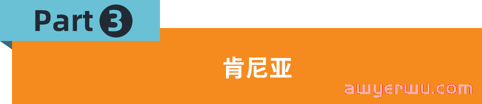 小家电火爆非洲！这份选品参谋带你找准市场千单爆品 第5张