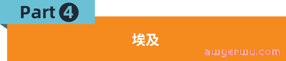 小家电火爆非洲！这份选品参谋带你找准市场千单爆品 第7张