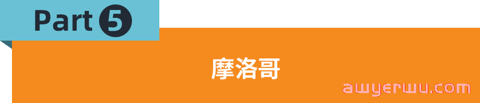小家电火爆非洲！这份选品参谋带你找准市场千单爆品 第9张