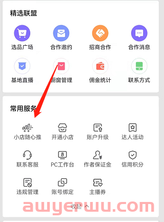 抖音小店玩法汇总：抖音起店3种方法，总有一种适合你！ 第4张