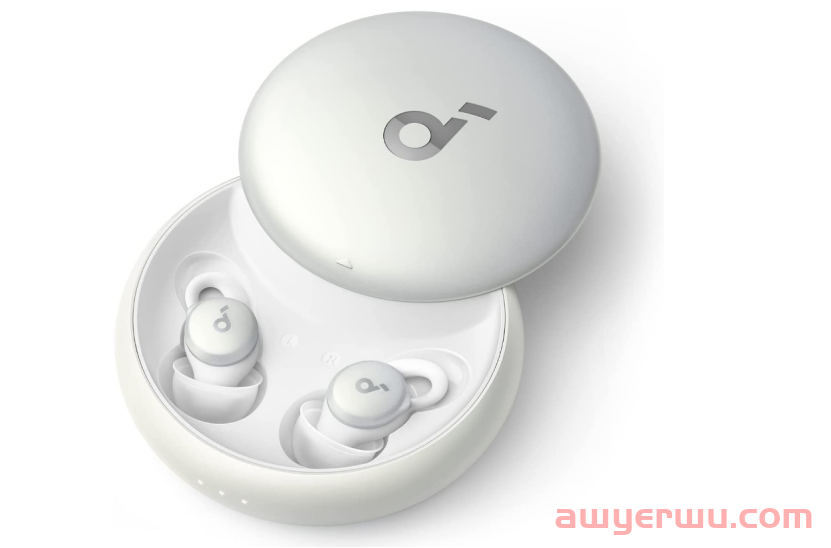 安克Anker小家电“上位”，奖员工2亿股票 第5张