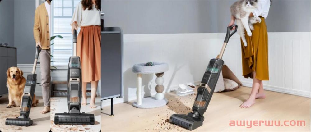 安克Anker小家电“上位”，奖员工2亿股票 第12张