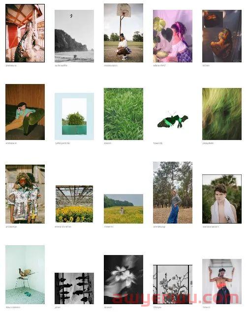 9个实用的Instagram分析工具，帮你实现营销目标 第4张