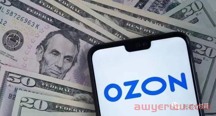 关于Ozon的三两小知识！带你了解Ozon平台！ 第2张