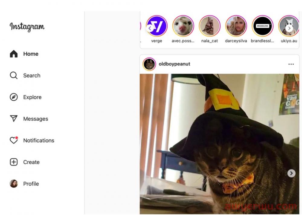 Instagram不会开发iPad版应用，但它的页面端体验越来越好了 第1张