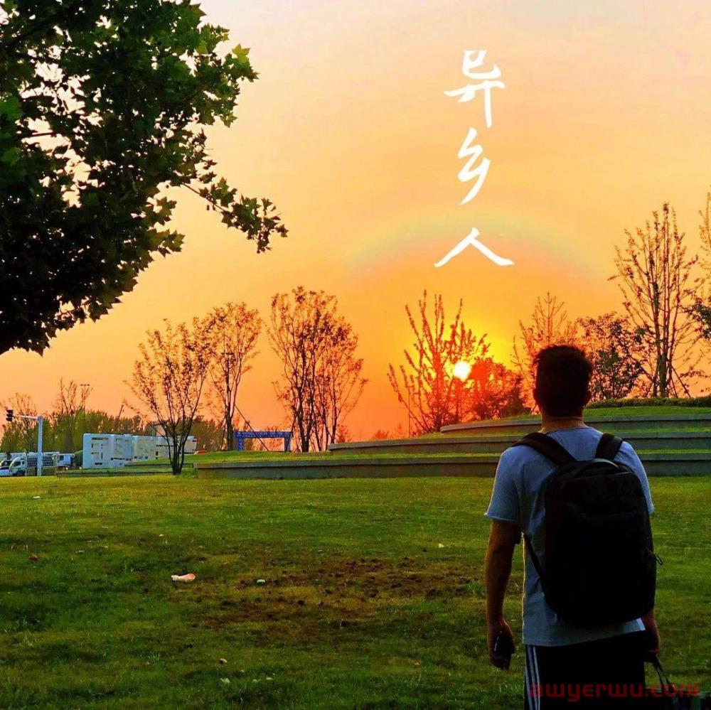 Instagram不会开发iPad版应用，但它的页面端体验越来越好了 第4张