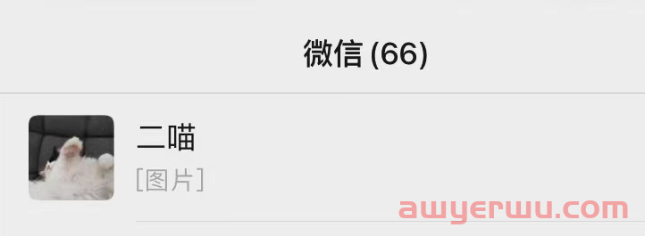 图片设计中，不同的图片形状是怎么影响客户感受的？ 第12张