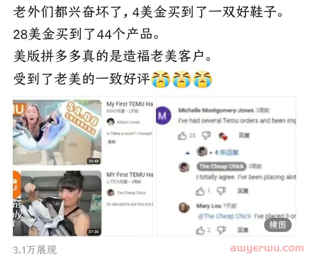字节独立站梦再碎，拼多多Temu拟上线砍一刀？ 第5张