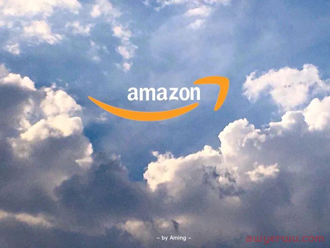 因敏感词,亚马逊listing链接下架变狗,卖家应采取什么措施? 第1张 因敏感词,亚马逊listing链接下架变狗,卖家应采取什么措施? 第1张