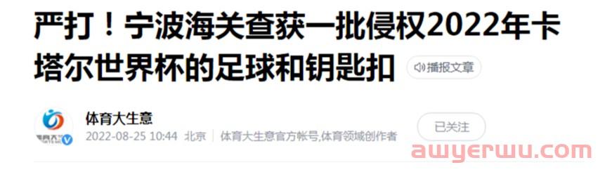 世界杯爆品被拦截?2022卡塔尔世界杯热卖产品侵权预警! 第1张 世界杯爆品被拦截?2022卡塔尔世界杯热卖产品侵权预警! 第1张