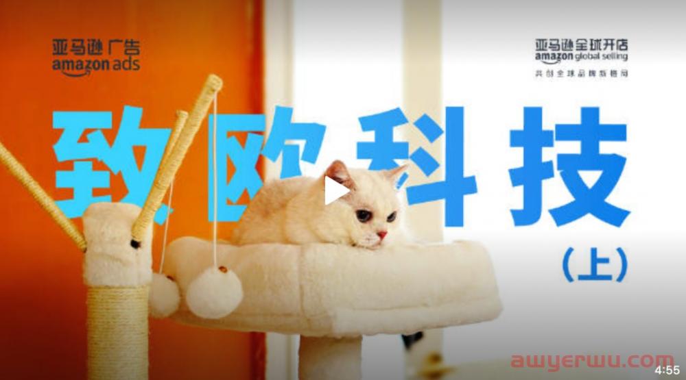 宠物家居出海，谁是最靠谱的水手？ 第3张