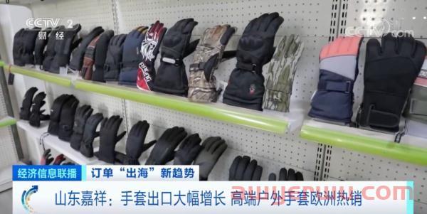 暴跌430亿!多个品类销售要凉凉?欧洲多个爆款商机显现! 第4张 暴跌430亿!多个品类销售要凉凉?欧洲多个爆款商机显现! 第4张