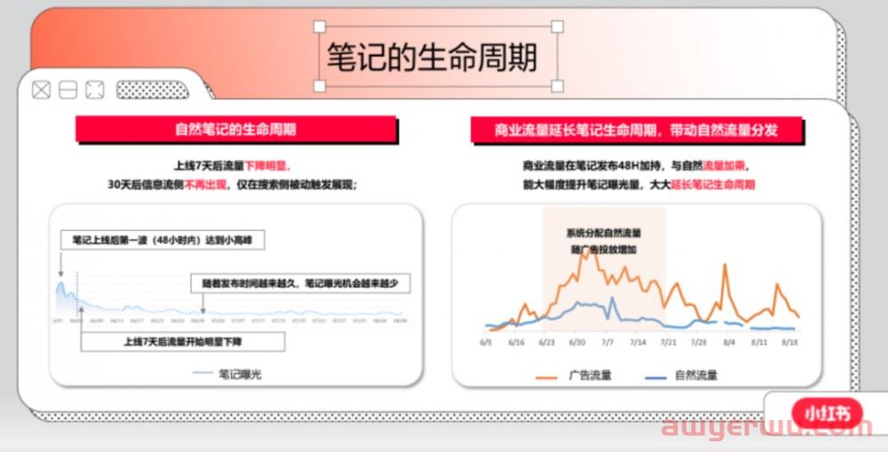 如何判断账号是否被限流？小红书账号复盘分析干货篇！！ 第7张