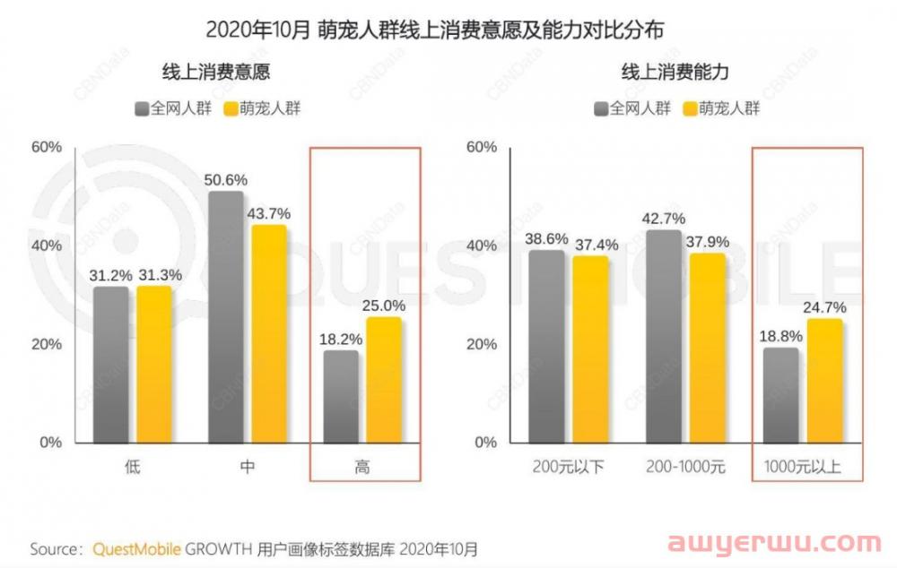 “小主”驾到:能带货的不仅有网红,还有萌宠 第3张 “小主”驾到:能带货的不仅有网红,还有萌宠 第3张
