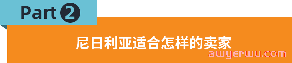 非洲电商沃土尼日利亚，跨境卖家的新兴选择？ 第2张