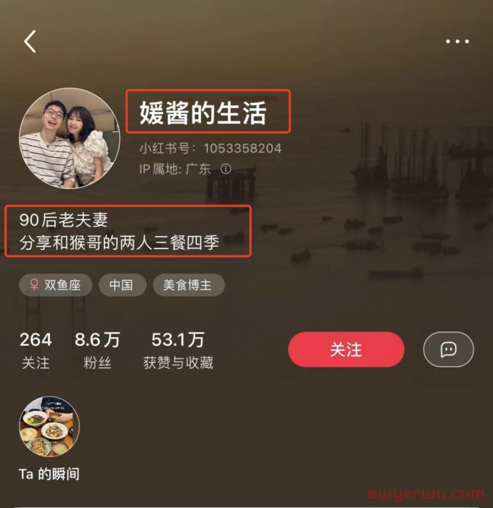 单月涨粉超4W!向近期涨粉最快的小红书博主学习什么? 第10张 单月涨粉超4W!向近期涨粉最快的小红书博主学习什么? 第10张