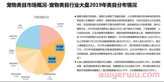 小红书宠物品牌玩转套路是这些 第1张