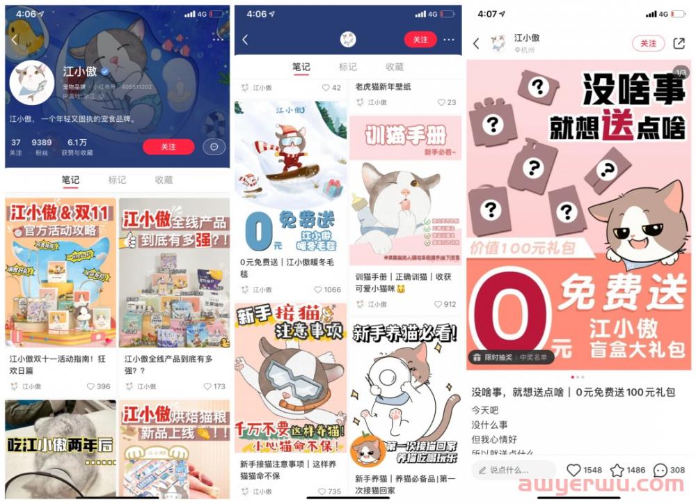 小红书宠物品牌玩转套路是这些 第3张