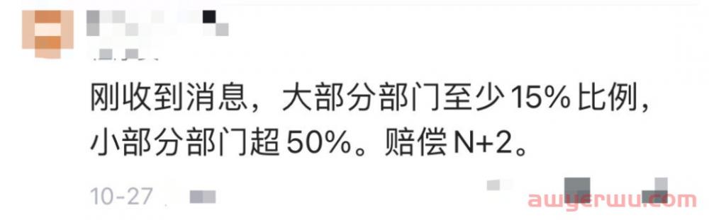 突发！明星跨境电商平台Shopee再次裁员 第4张