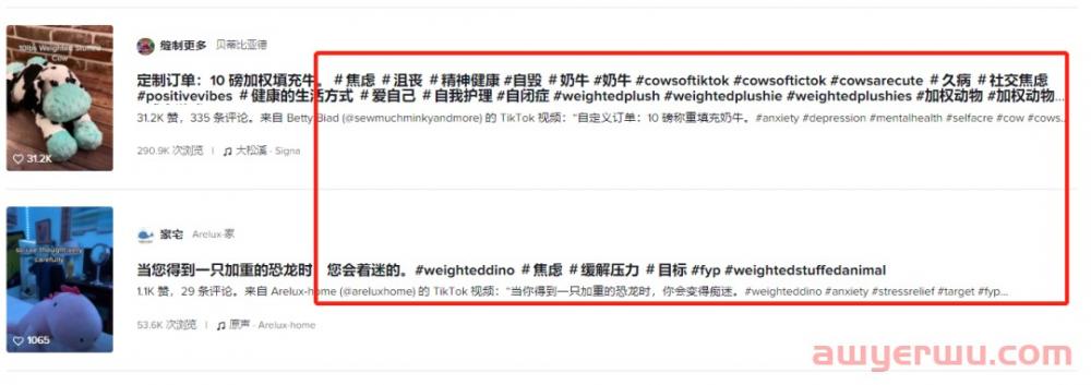 成人焦虑毛绒玩具走红！TikTok“解压新宠儿” 第8张