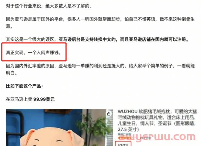 争当跨境倒爷？这才是亚马逊卖家打开Temu的正确方式！ 第3张