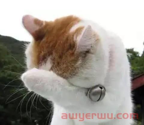 PDD海外版Temu那么火究竟有哪些优势？它到底适合哪些类型的卖家？ 第2张
