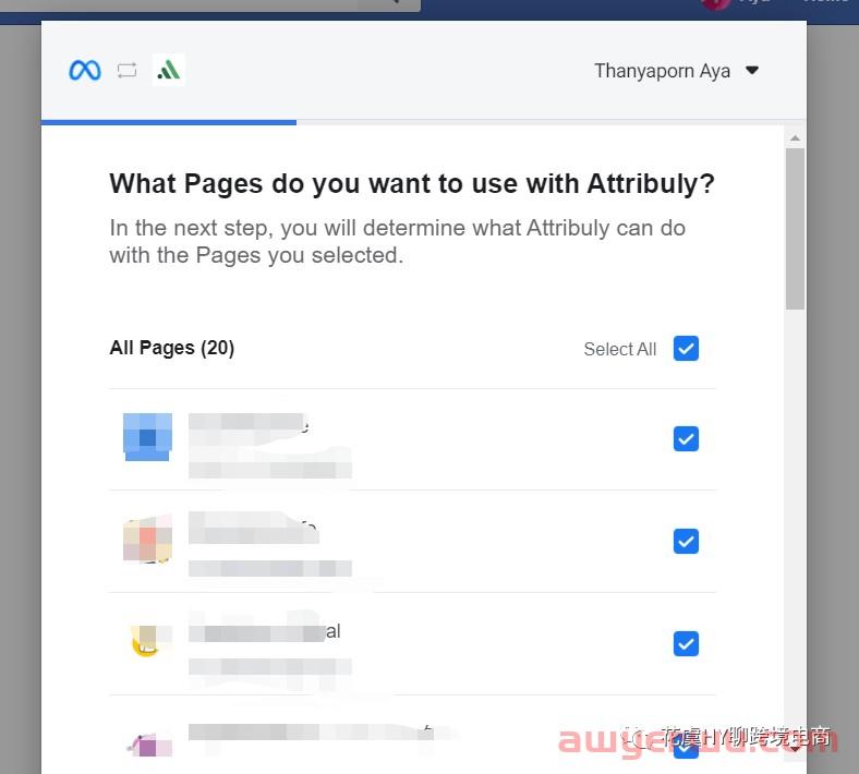 【干货】Shopify Pixel & Attribuly多触点数据归因插件配置操作指南 第16张