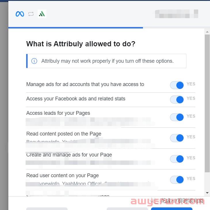【干货】Shopify Pixel & Attribuly多触点数据归因插件配置操作指南 第18张