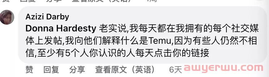 卷王！拼多多Temu一刀砍出美国“五环外” 第1张