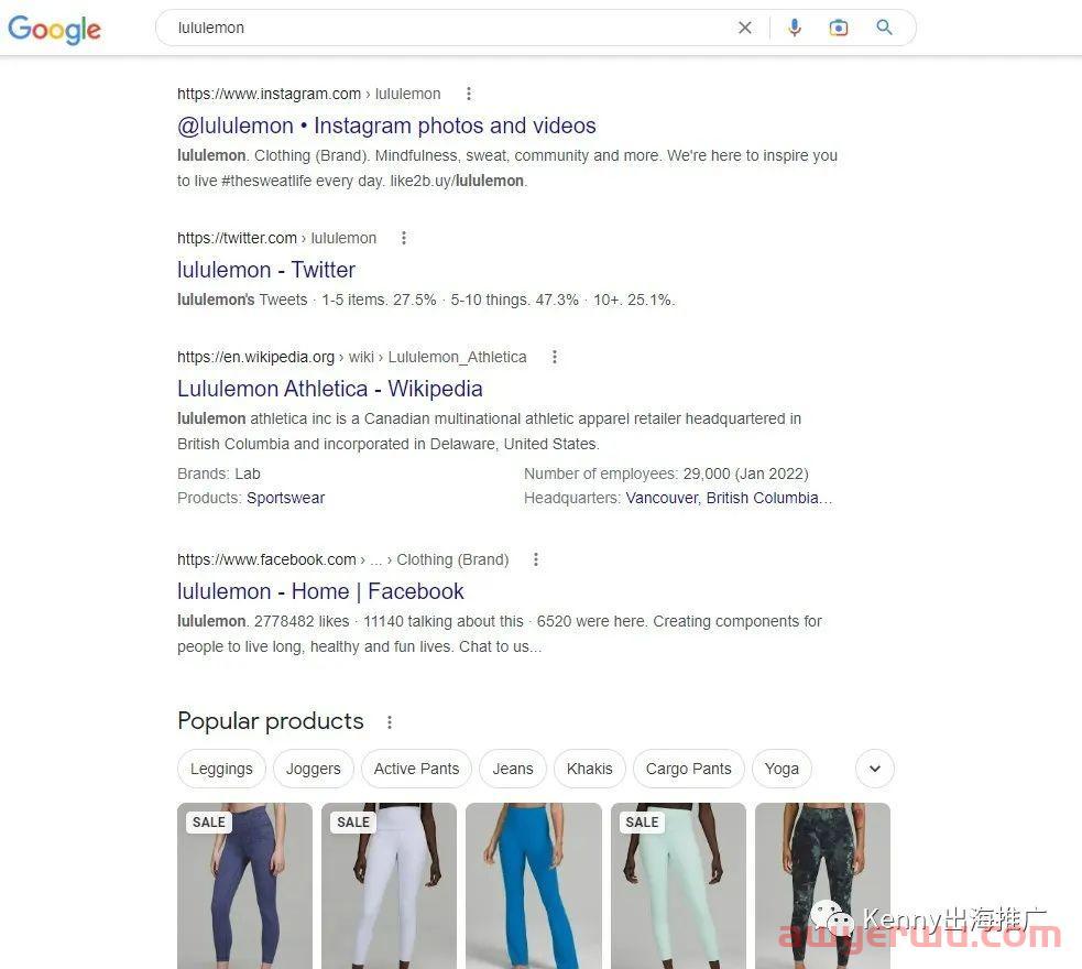 社交媒体如何帮独立站引流，占据谷歌页面第一页 第1张