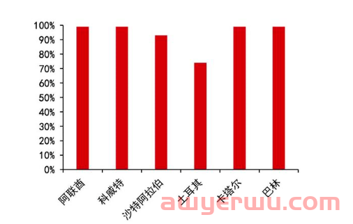 中东出海指南：有沙漠，也有蓝海 第2张