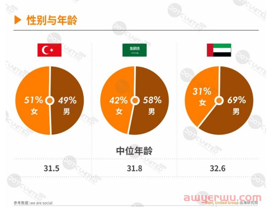 中东出海指南：有沙漠，也有蓝海 第4张