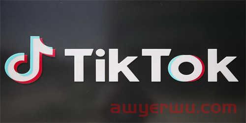 Tiktok黑五大促落下帷幕，最强GMV花落谁家？ 第1张